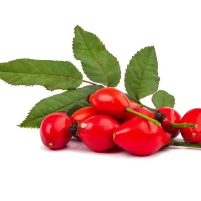 Šípková múka 300g