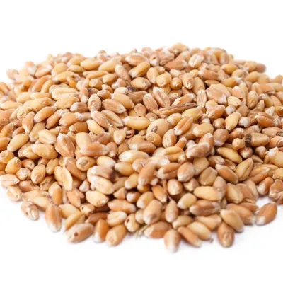 Špaldová múka biela polohrubá 1000g